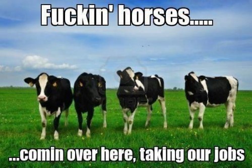 hornoxe.com_picdump299_036