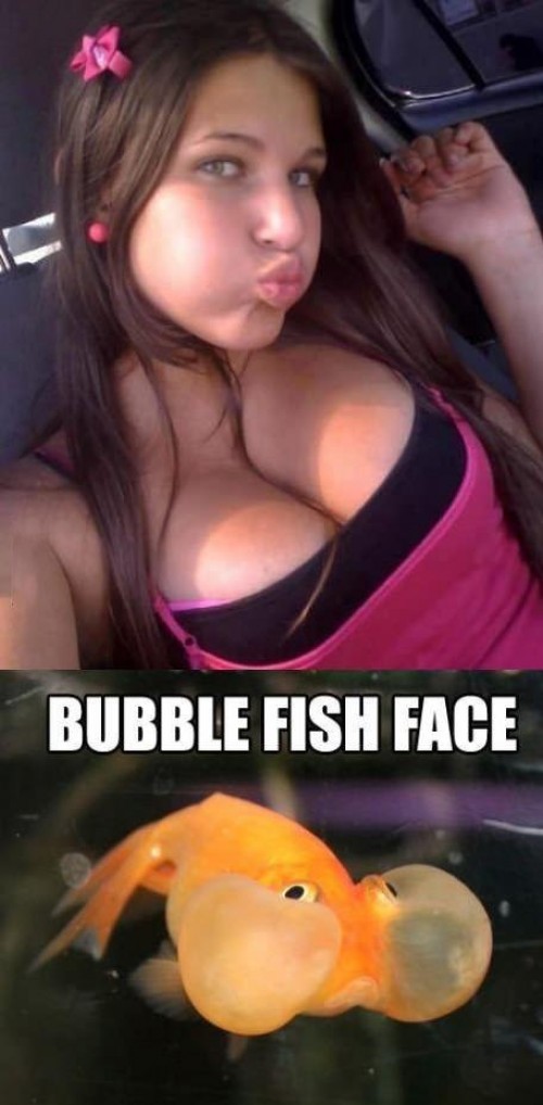 hornoxe.com_picdump299_037