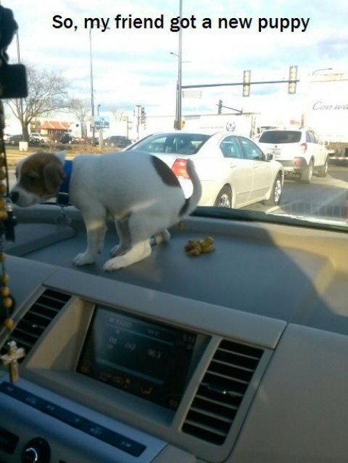 hornoxe.com_picdump299_052