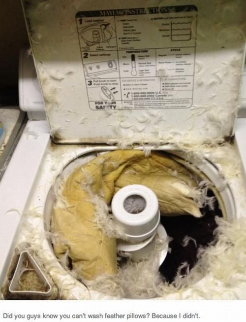 hornoxe.com_picdump299_061