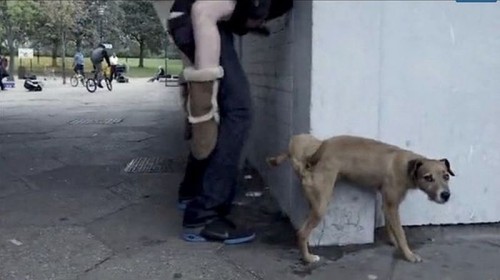 hornoxe.com_picdump299_115