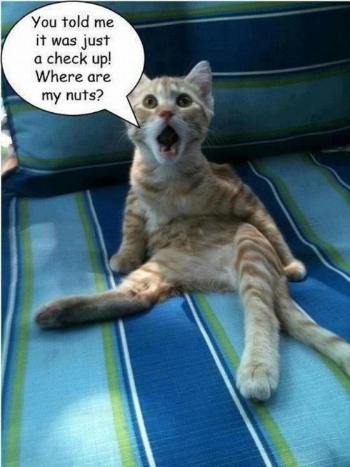 hornoxe.com_picdump299_118