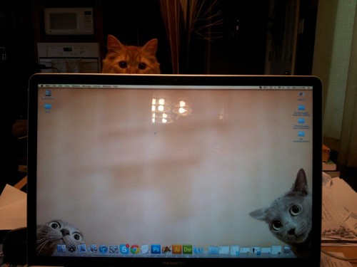 hornoxe.com_picdump299_120