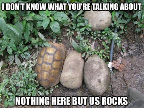 hornoxe.com_picdump299_128