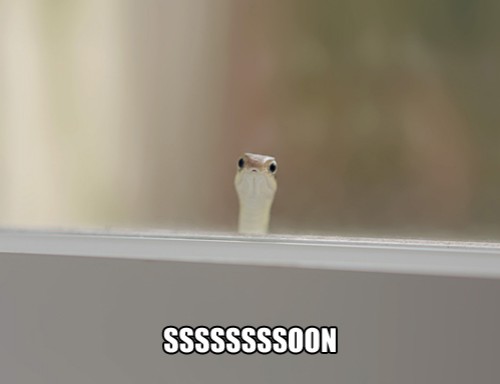 hornoxe.com_picdump299_139