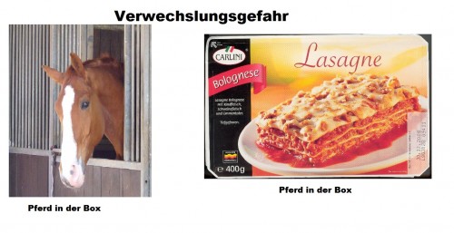 hornoxe.com_picdump299_148