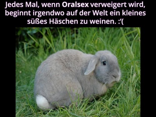 hornoxe.com_picdump300_029