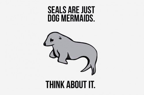 hornoxe.com_picdump300_052