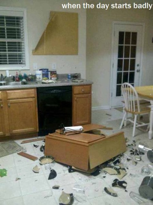 hornoxe.com_picdump300_090