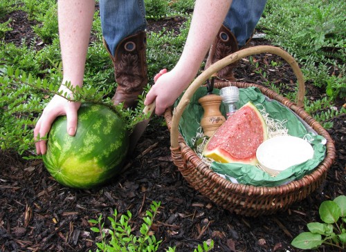 hornoxe.com_picdump300_119