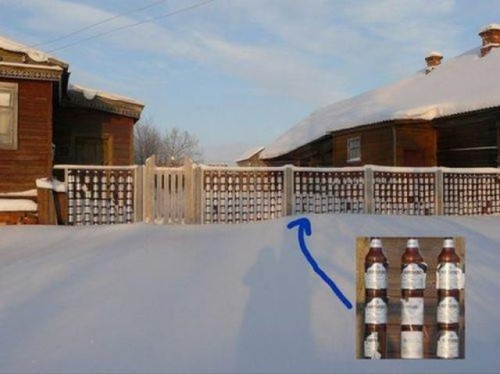 hornoxe.com_picdump300_122