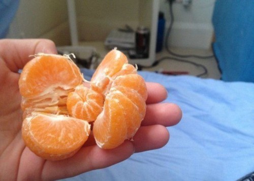 hornoxe.com_picdump300_123