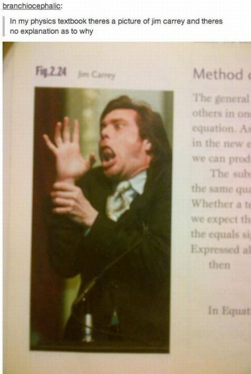 hornoxe.com_picdump300_131