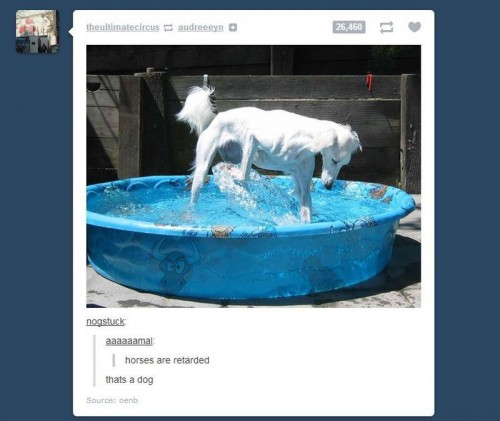 hornoxe.com_picdump300_175