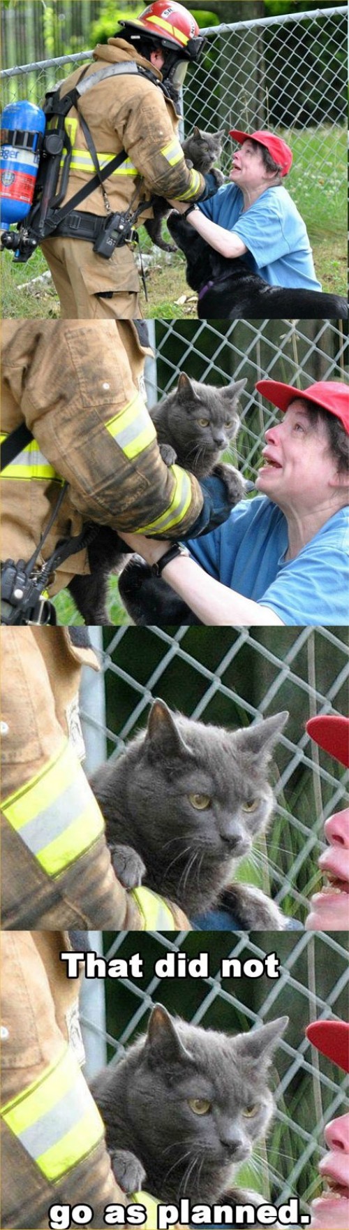 hornoxe.com_picdump301_044