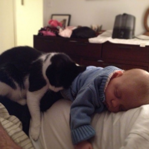 hornoxe.com_picdump301_052