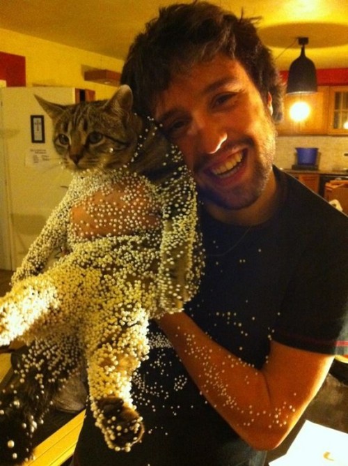 hornoxe.com_picdump301_073