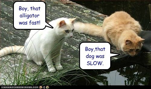 hornoxe.com_picdump301_102