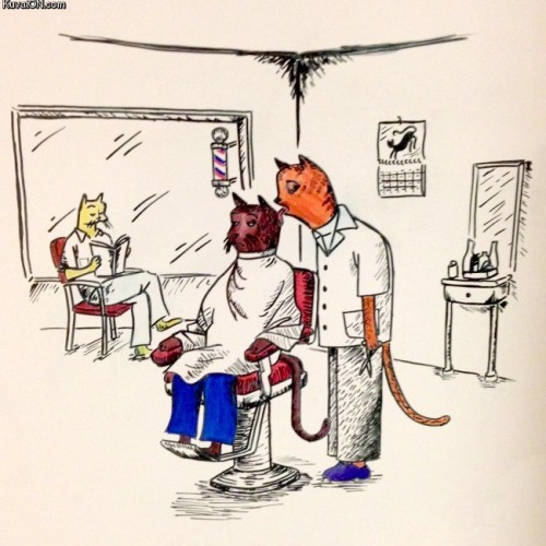 hornoxe.com_picdump301_130