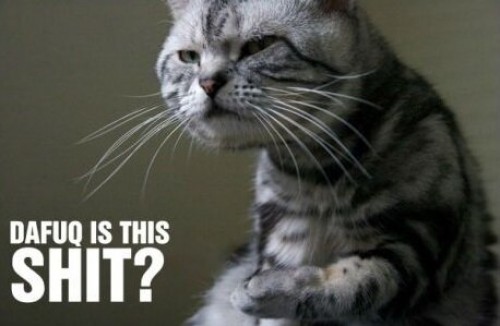 hornoxe.com_picdump301_131