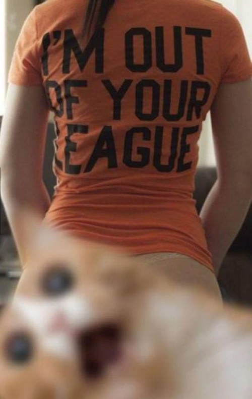 PUBLISHED by catsmob.com