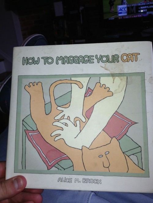 hornoxe.com_picdump301_141