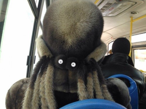 hornoxe.com_picdump301_143