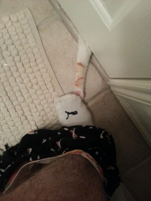 hornoxe.com_picdump301_145