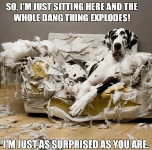 hornoxe.com_picdump301_174