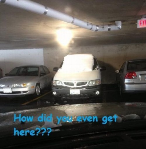 hornoxe.com_picdump301_178