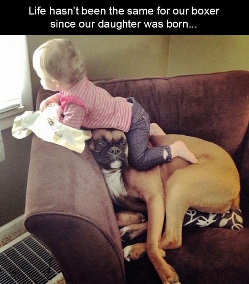 hornoxe.com_picdump302_001