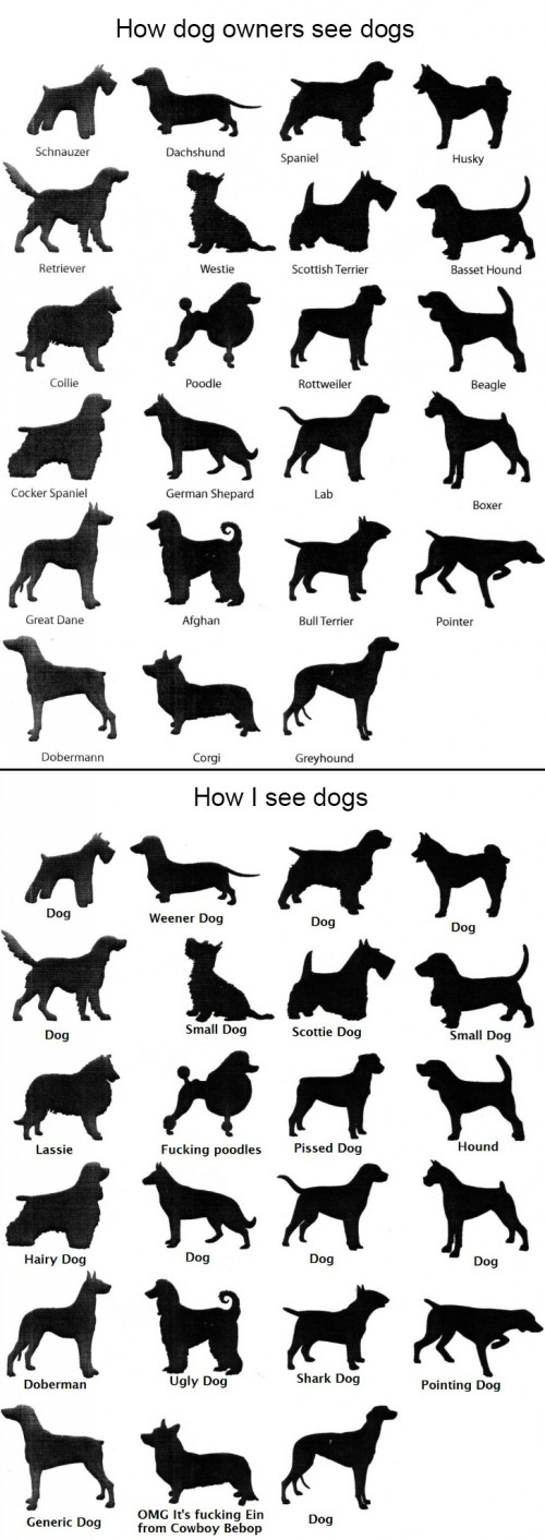 hornoxe.com_picdump302_009