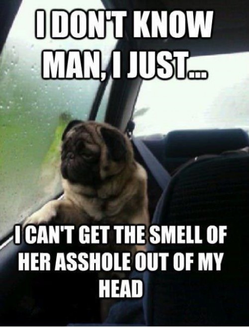 hornoxe.com_picdump302_020