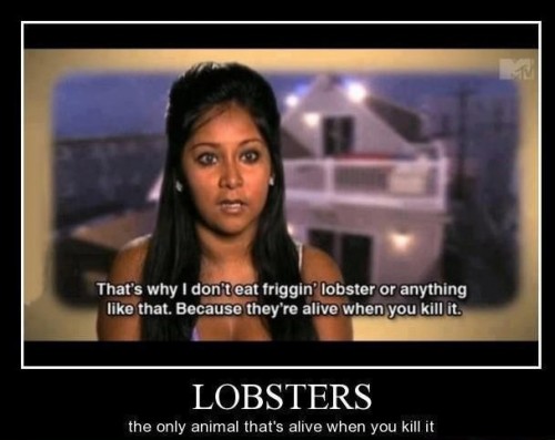 hornoxe.com_picdump302_041