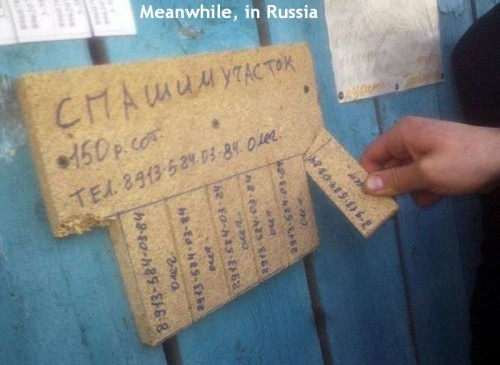 hornoxe.com_picdump302_119