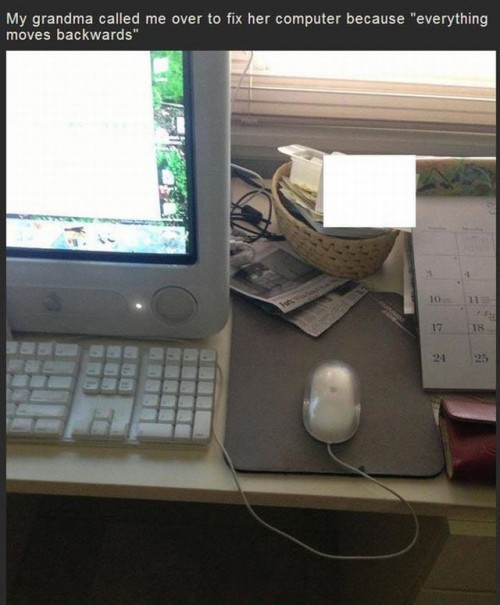 hornoxe.com_picdump302_120