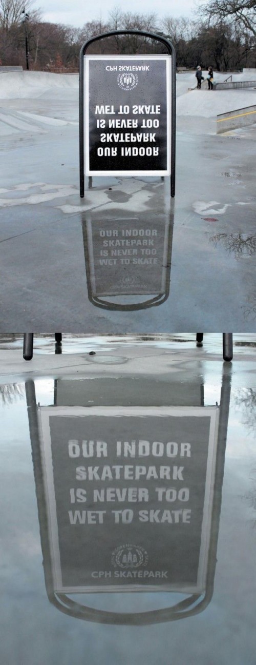 hornoxe.com_picdump302_129