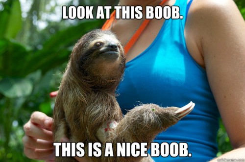 hornoxe.com_picdump302_138