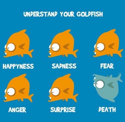 hornoxe.com_picdump302_149