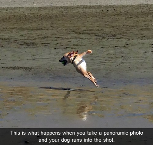 hornoxe.com_picdump302_150