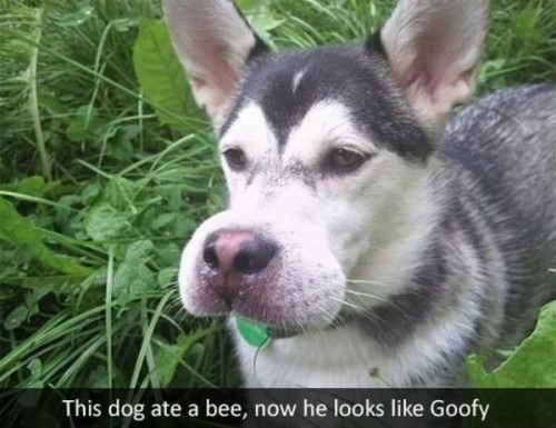 hornoxe.com_picdump302_165