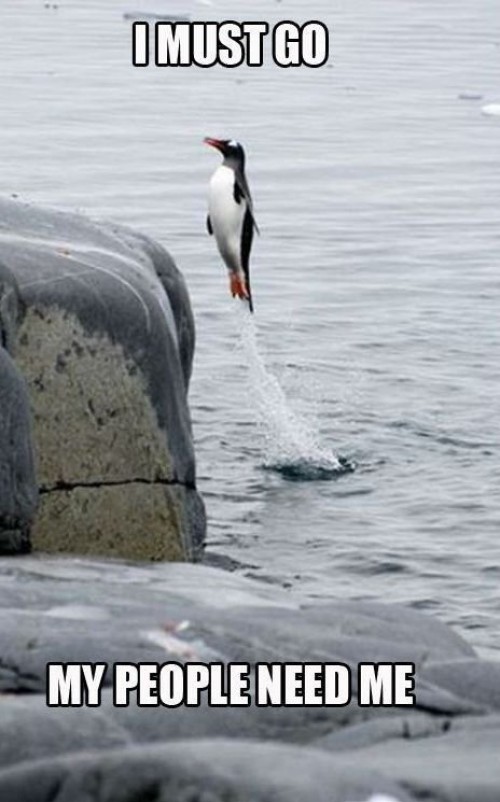 hornoxe.com_picdump302_167