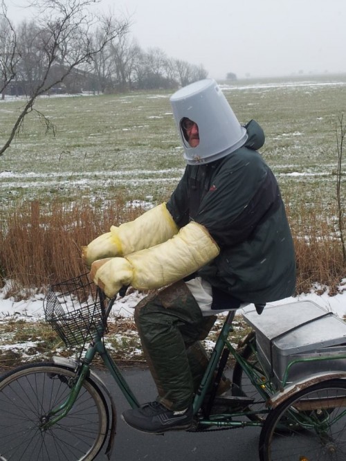 hornoxe.com_picdump303_015