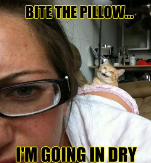 hornoxe.com_picdump303_030