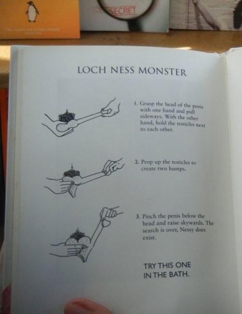 hornoxe.com_picdump303_041