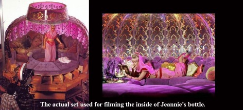 hornoxe.com_picdump303_056