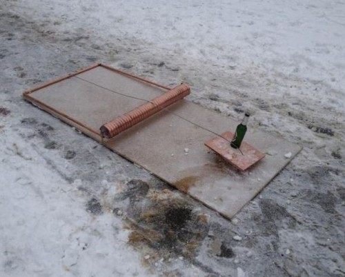 hornoxe.com_picdump303_060