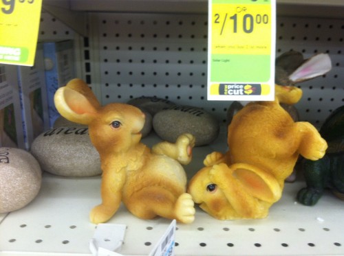 hornoxe.com_picdump303_084