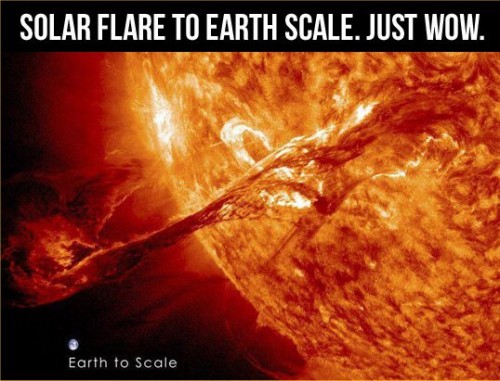 hornoxe.com_picdump303_096