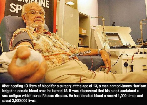 hornoxe.com_picdump303_125